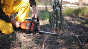 Best Aeration Services  in Emerald Bay, TX