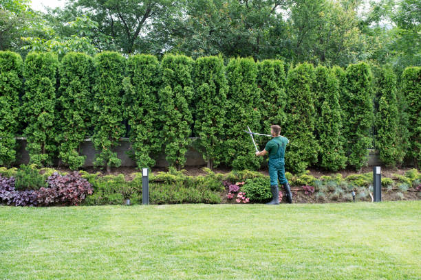 Artificial Turf Installation in Emerald Bay, TX
