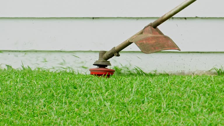 Best Lawn Renovation and Restoration  in Emerald Bay, TX
